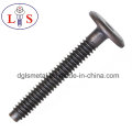 Flat Head Hexagonal Socket Bolt with Point